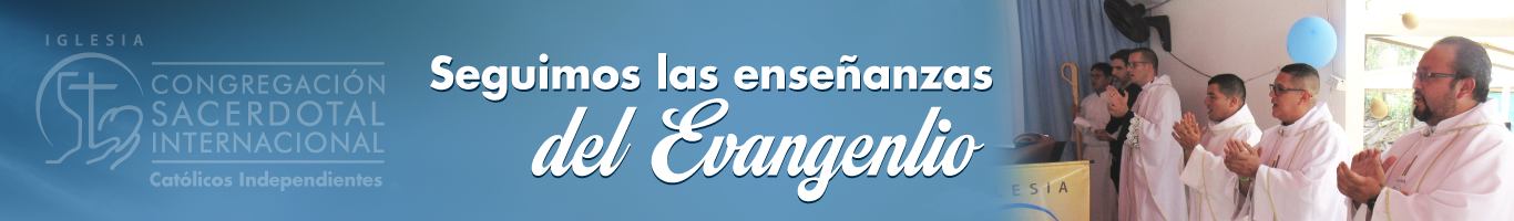 Banner Banner